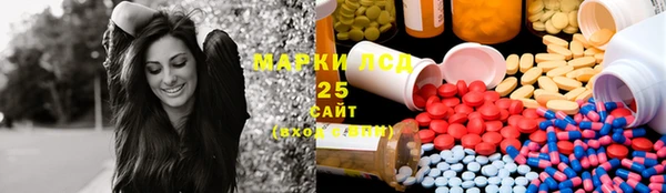 крисы Верея