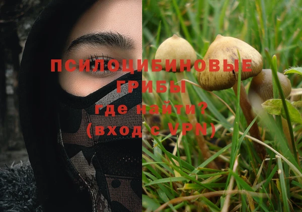 крисы Верея