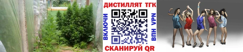Купить  Опочка  ТГК вейп с тгк 