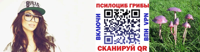 Купить  Опочка  Галлюциногенные грибы Magic Shrooms 